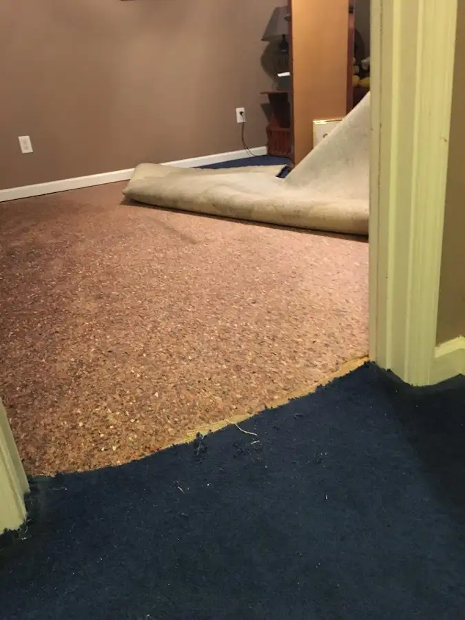 Carpet pad removal revealing water damage during Water Mitigation Services in Lake Jackson