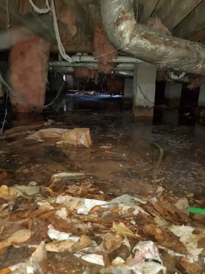 Crawl space flood assessment for Leak Detection & Repair in Lake Jackson